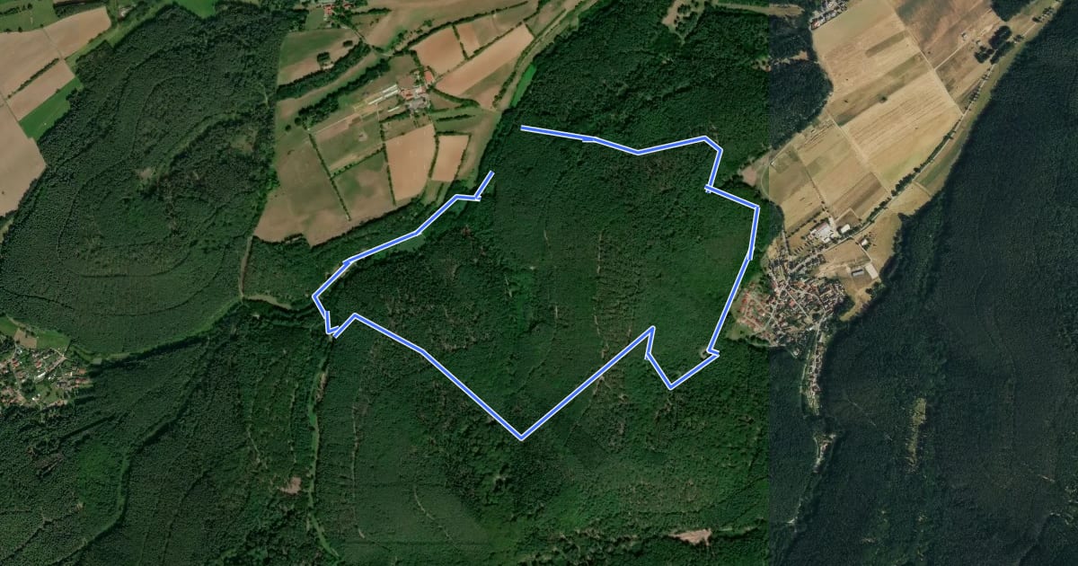 Маршрут Rundwanderweg 4 на спутниковом снимке