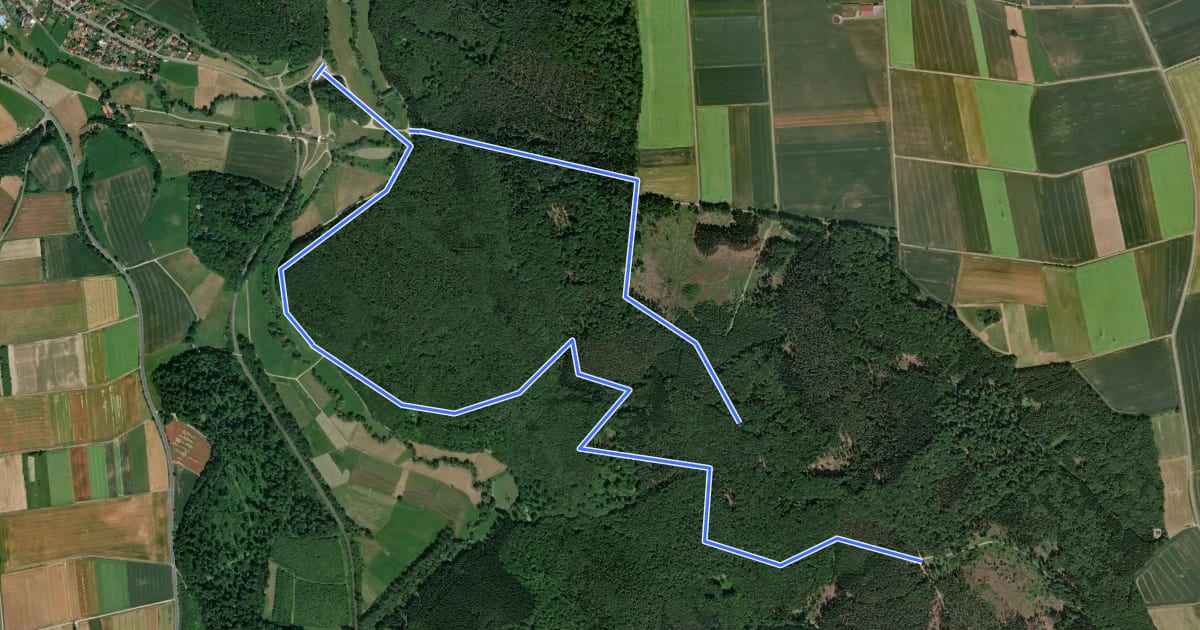 Маршрут Rundwanderweg 4 ab Wanderparkplatz Erpetal des Naturparks Habichtswald на спутниковом снимке