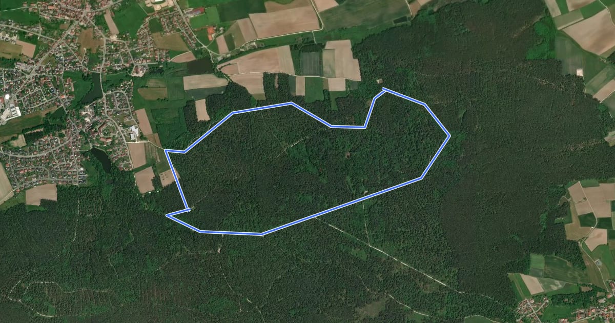 Маршрут Rundwanderweg 4 Abenberg на спутниковом снимке