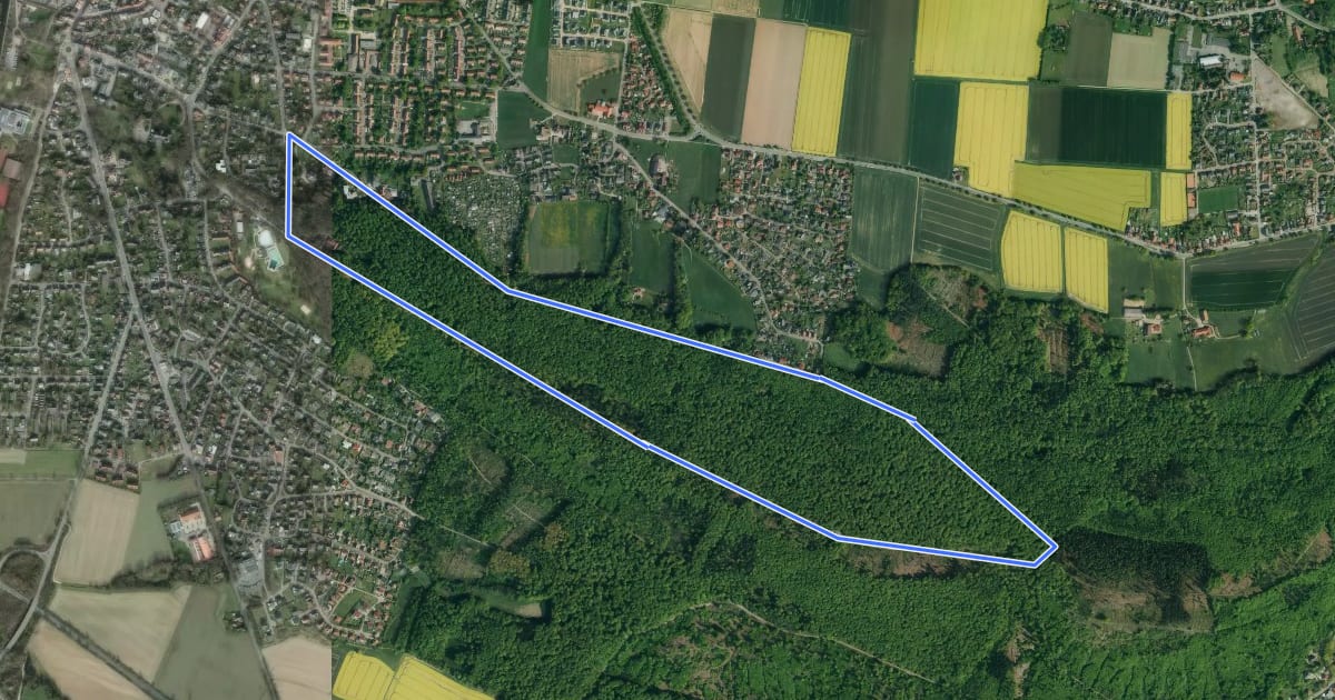 Маршрут Rundwanderweg 4 im Harrl на спутниковом снимке