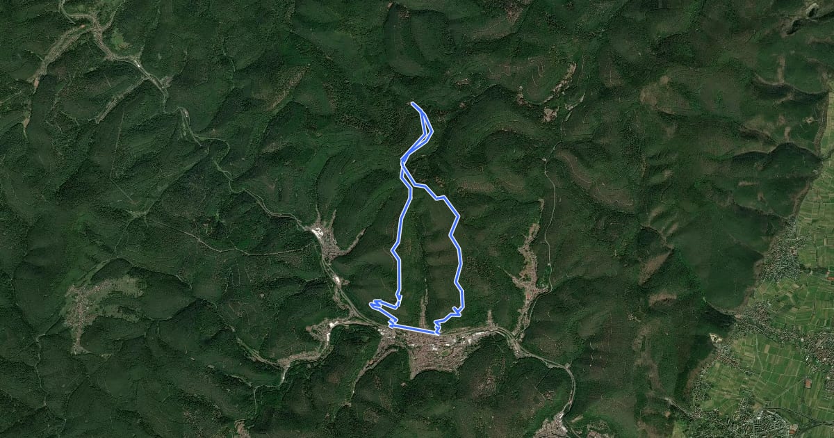 Маршрут Rundwanderweg 4 Lambrecht на спутниковом снимке
