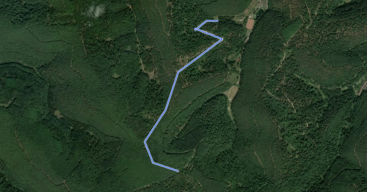 Маршрут Rundwanderweg 4 Weidenthal на спутниковом снимке