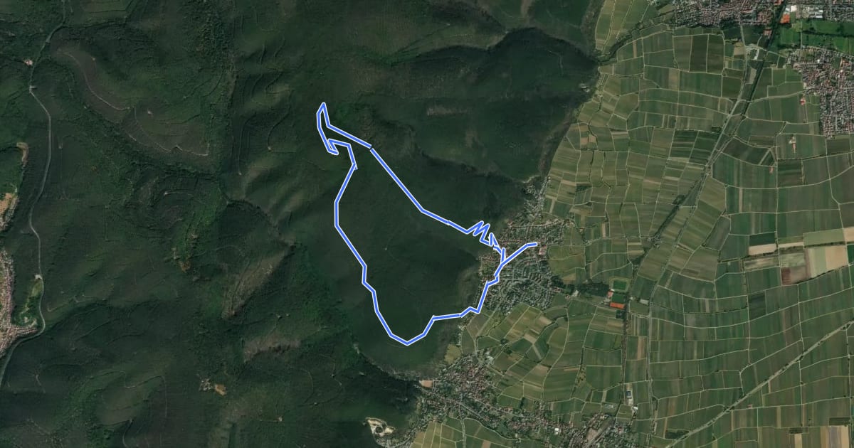 Маршрут Rundwanderweg 5 на спутниковом снимке
