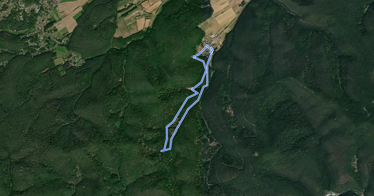 Маршрут Rundwanderweg 5 на спутниковом снимке