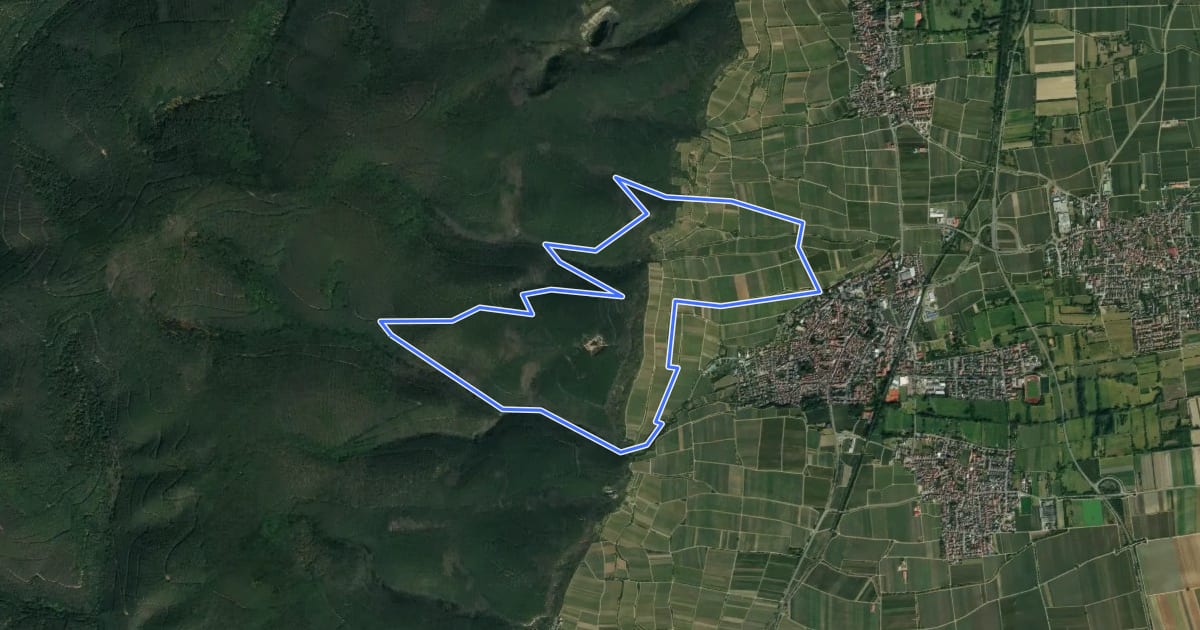 Маршрут Rundwanderweg 5 на спутниковом снимке