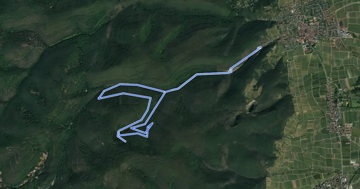 Маршрут Rundwanderweg 5 на спутниковом снимке