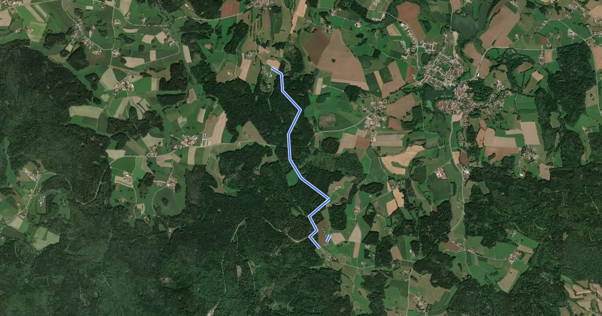 Маршрут Rundwanderweg 5: Schiederhof - Hohenburg - Wiesenfelden на спутниковом снимке