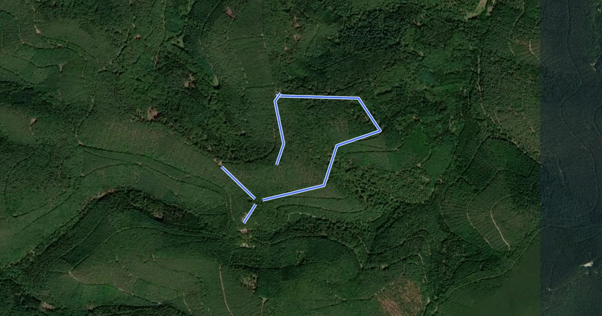 Маршрут Rundwanderweg 5 Totenkopf на спутниковом снимке