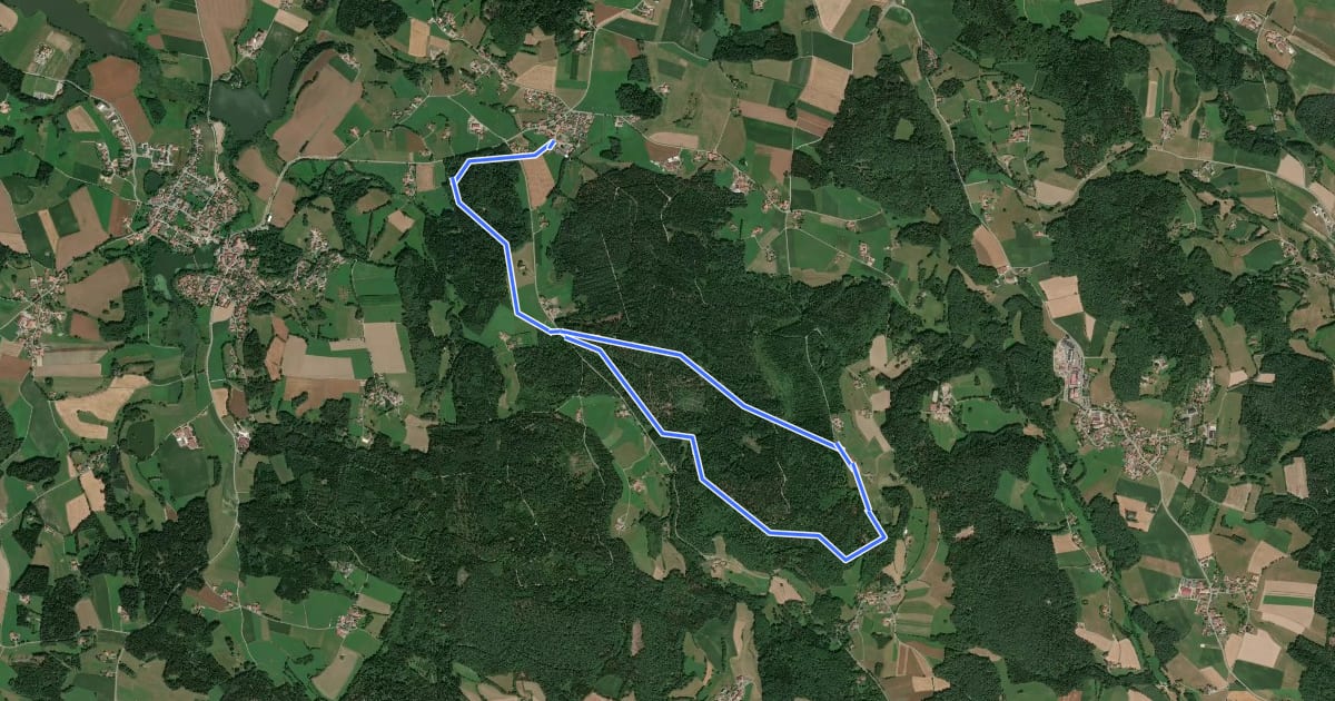 Маршрут Rundwanderweg 6 на спутниковом снимке