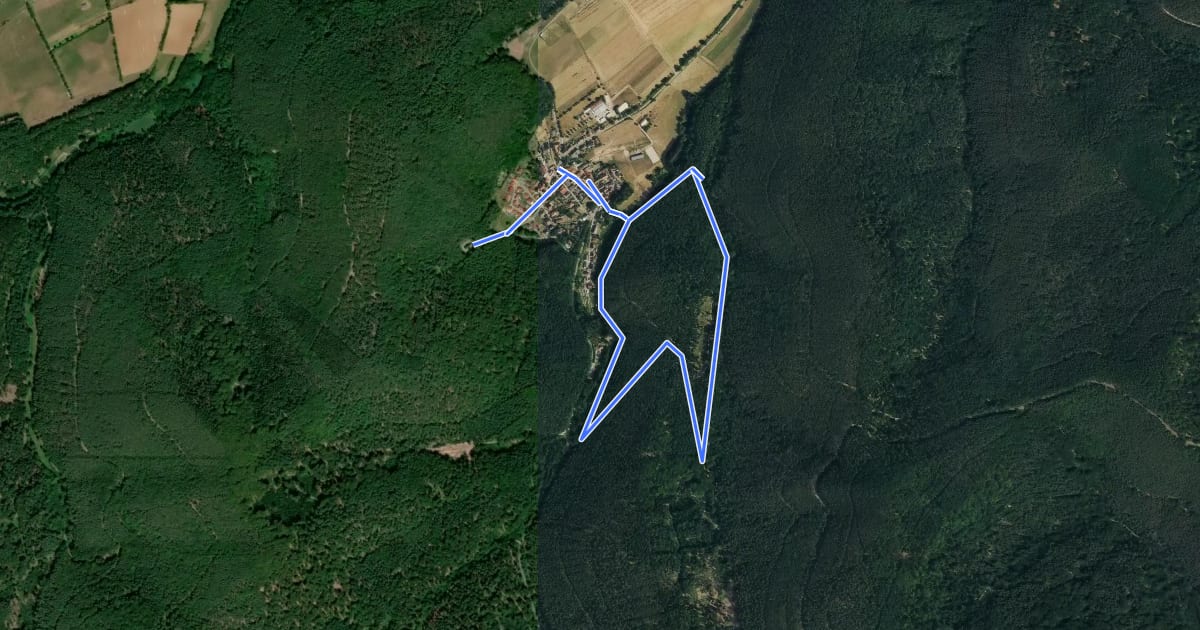 Маршрут Rundwanderweg 6 на спутниковом снимке