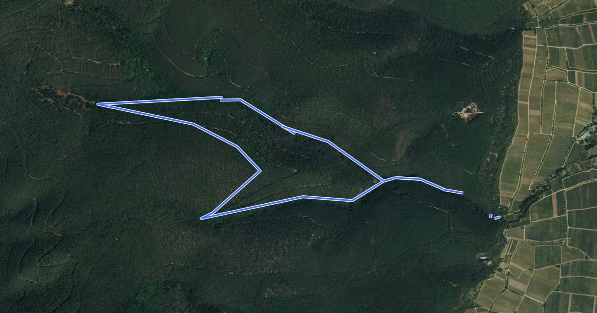 Маршрут Rundwanderweg 6 на спутниковом снимке