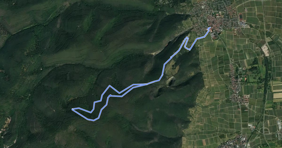 Маршрут Rundwanderweg 6 на спутниковом снимке