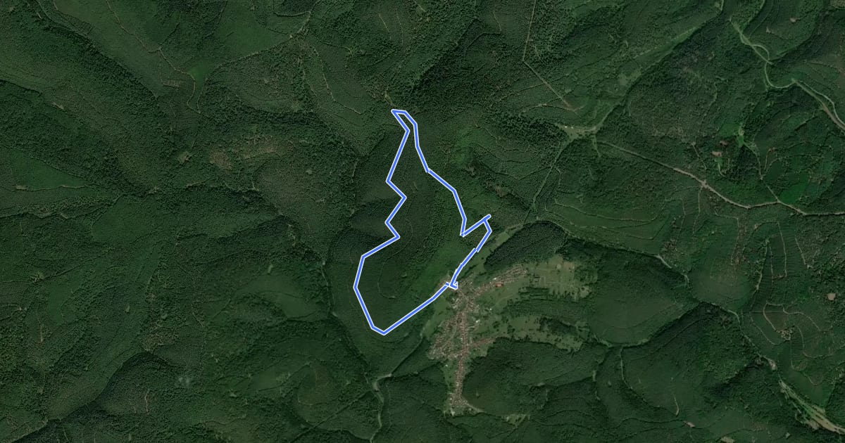 Маршрут Rundwanderweg 6 на спутниковом снимке