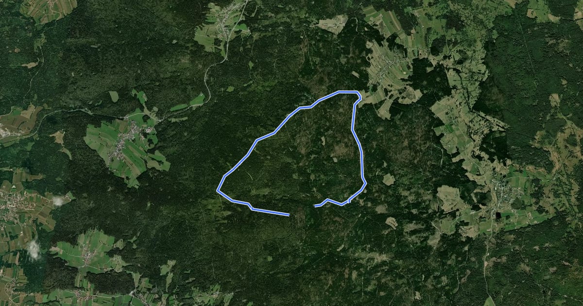 Маршрут Rundwanderweg 7 (Haidel) на спутниковом снимке