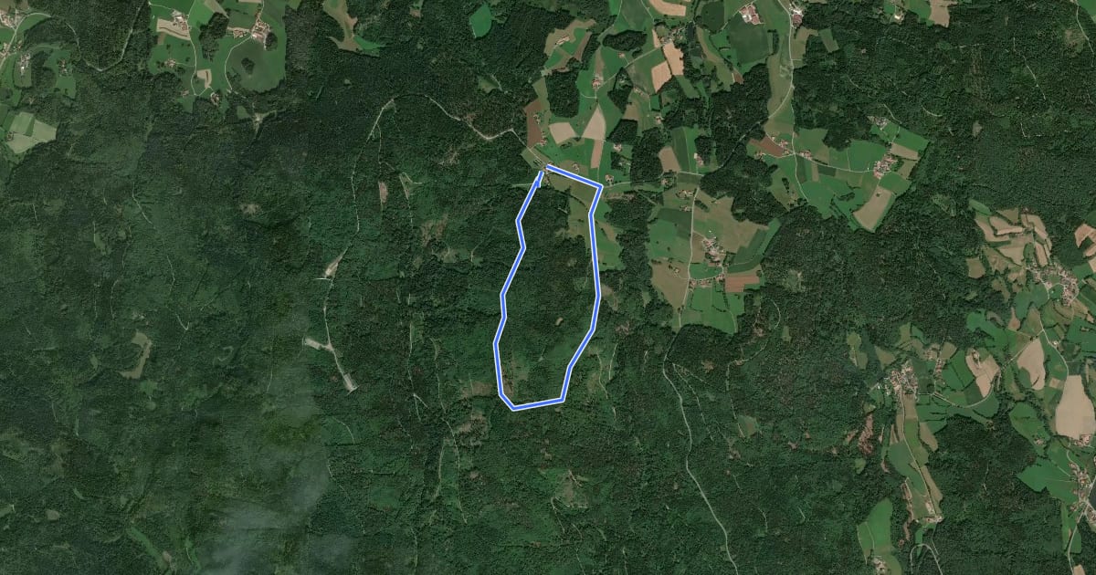 Маршрут Rundwanderweg 7: Naturerlebnisweg Kobelberg на спутниковом снимке