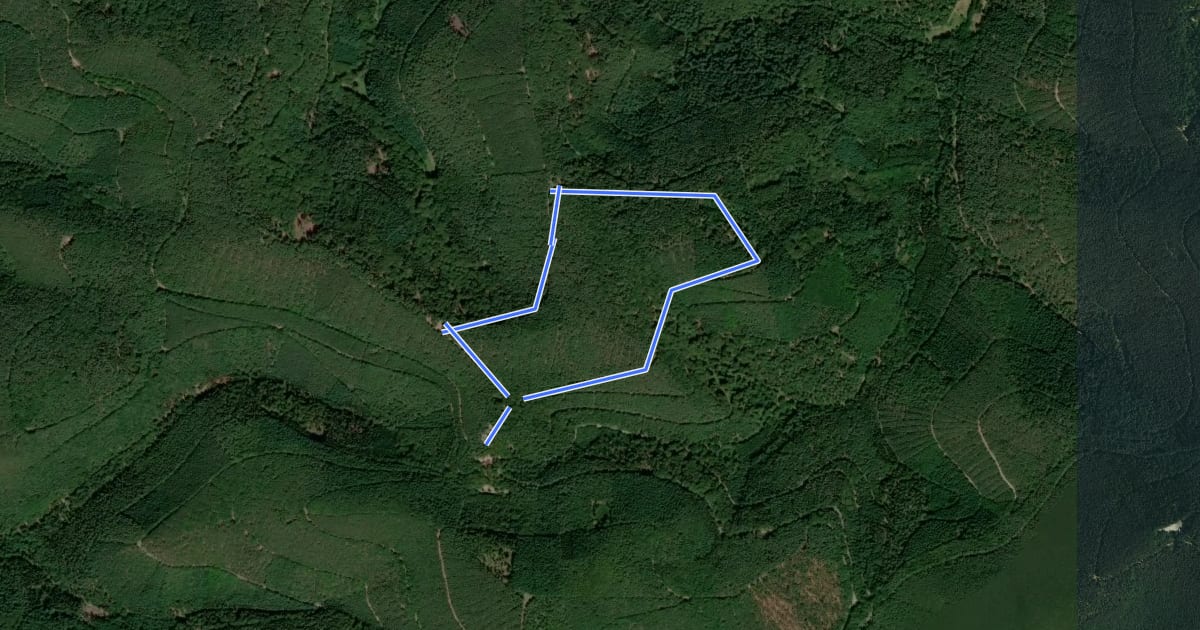 Маршрут Rundwanderweg 7 Totenkopf на спутниковом снимке