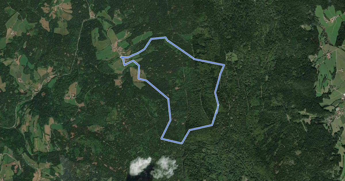 Маршрут Rundwanderweg 8 на спутниковом снимке