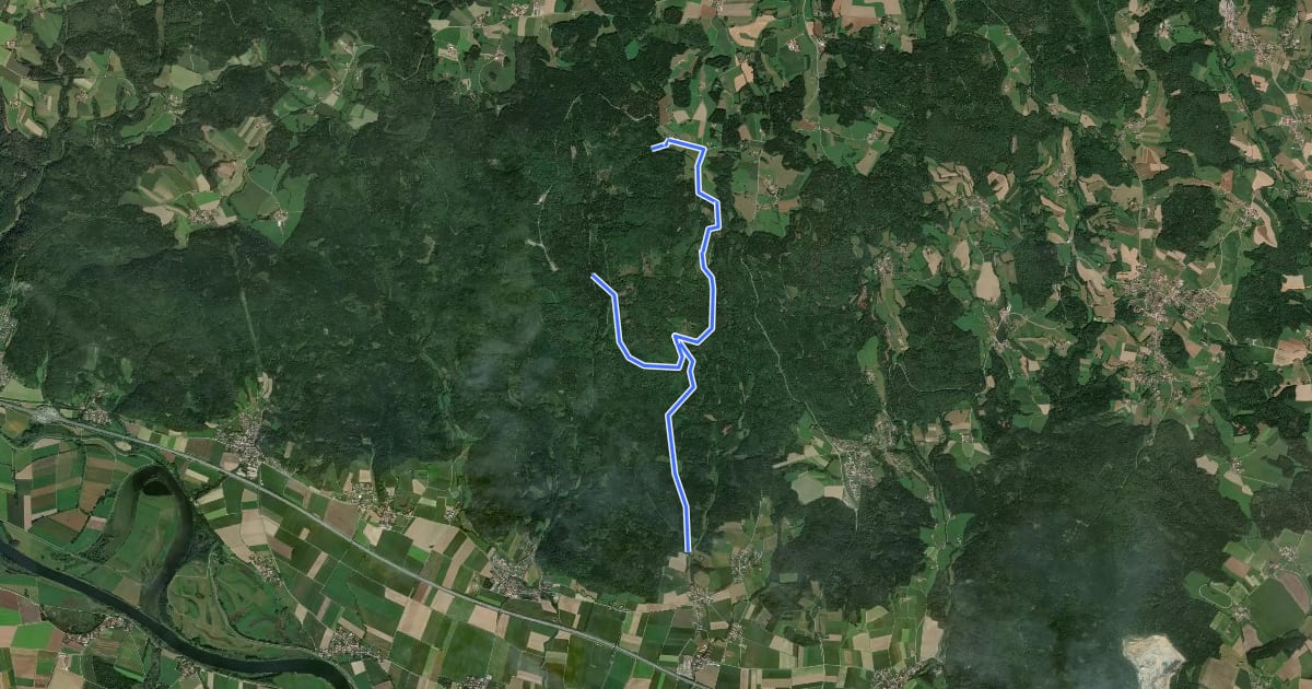 Маршрут Rundwanderweg 8: Schiederhof - Schwedenschanze - Leithenbach на спутниковом снимке
