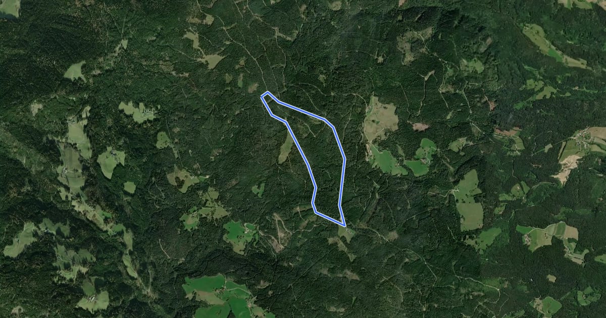 Маршрут Rundwanderweg A1 на спутниковом снимке