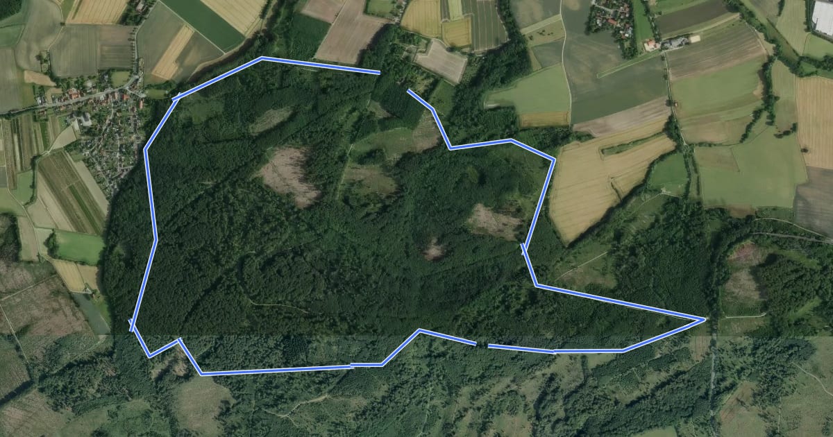 Маршрут Rundwanderweg A1 Gaffel на спутниковом снимке