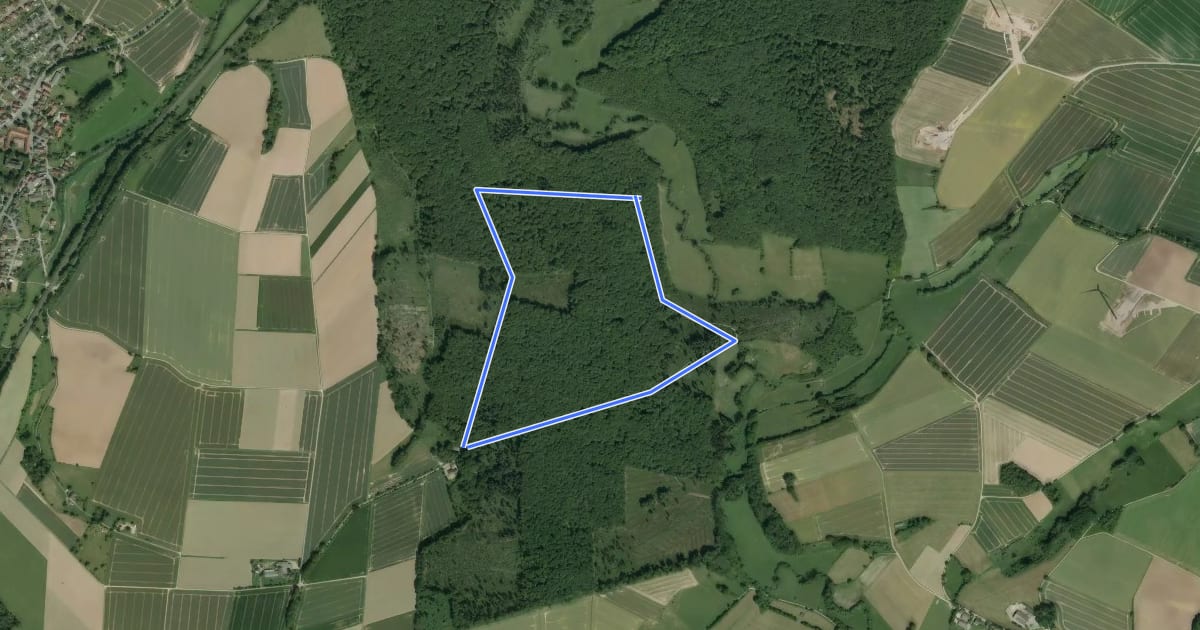 Маршрут Rundwanderweg A1 Steinheimer Holz на спутниковом снимке