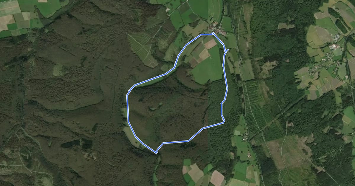 Маршрут Rundwanderweg A2 на спутниковом снимке