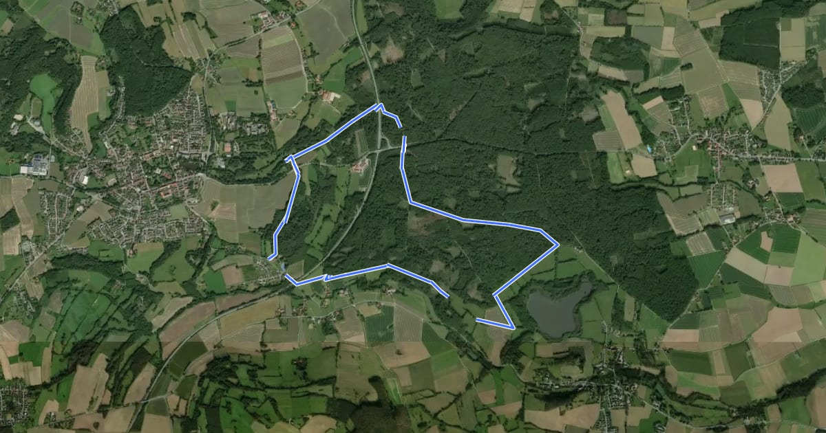 Маршрут Rundwanderweg A2 [Schauinsland / Entenkrug] на спутниковом снимке