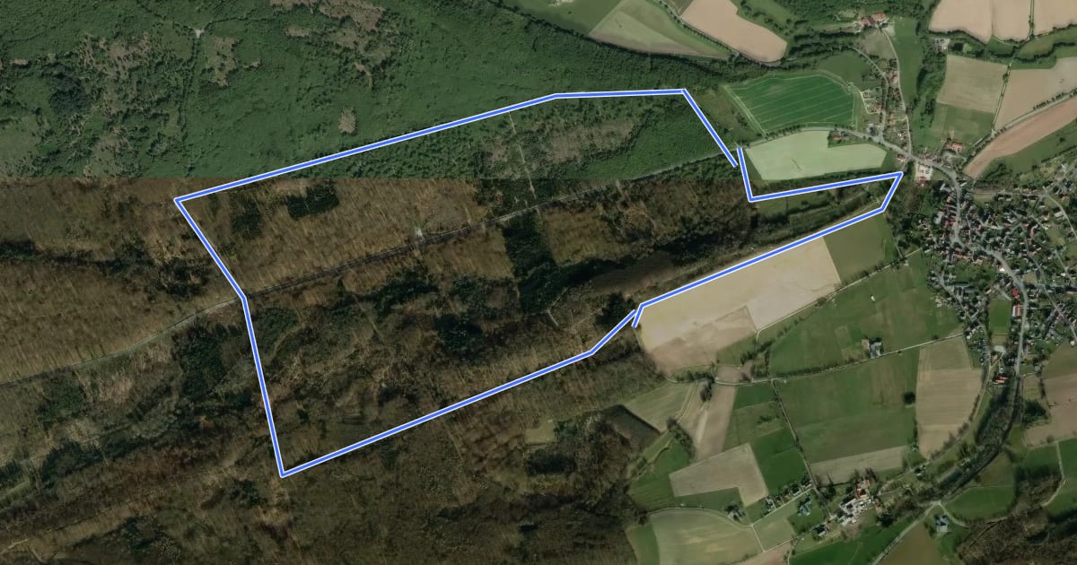 Маршрут Rundwanderweg A3 Rischenau - Schwalenberger Wald на спутниковом снимке