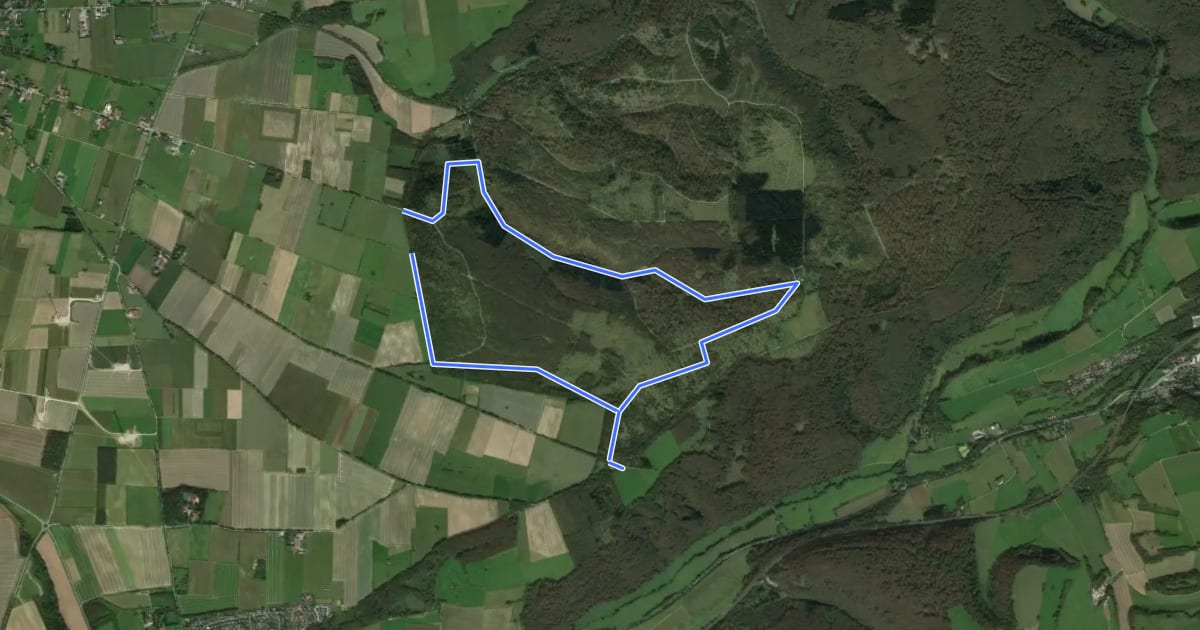 Маршрут Rundwanderweg A4 на спутниковом снимке