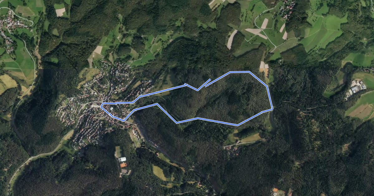 Маршрут Rundwanderweg Altenbach 1: Hirtenstein-Weg на спутниковом снимке