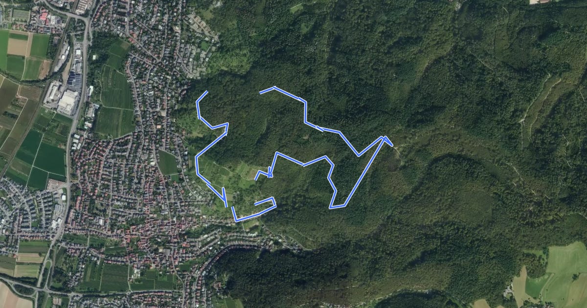 Маршрут Rundwanderweg Am Bischof 4: Häuselbergweg на спутниковом снимке