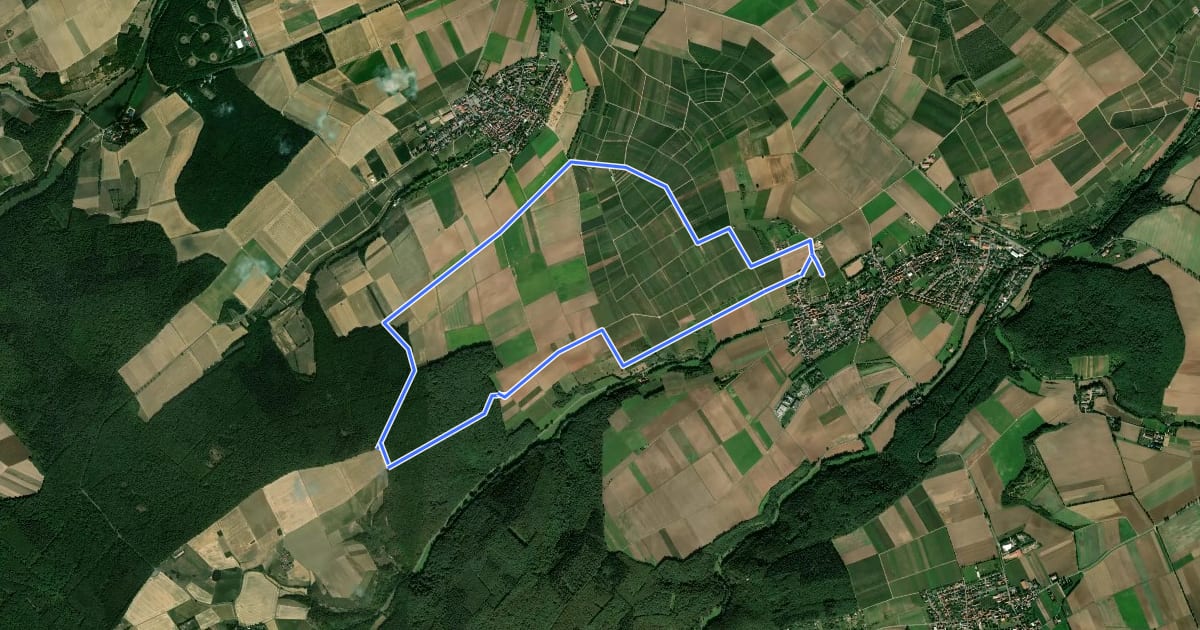 Маршрут Rundwanderweg am Elsa Schmitt Turm на спутниковом снимке