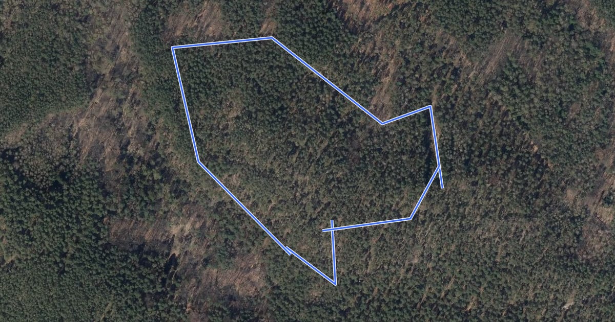 Маршрут Rundwanderweg Am  Kuhringsberg на спутниковом снимке