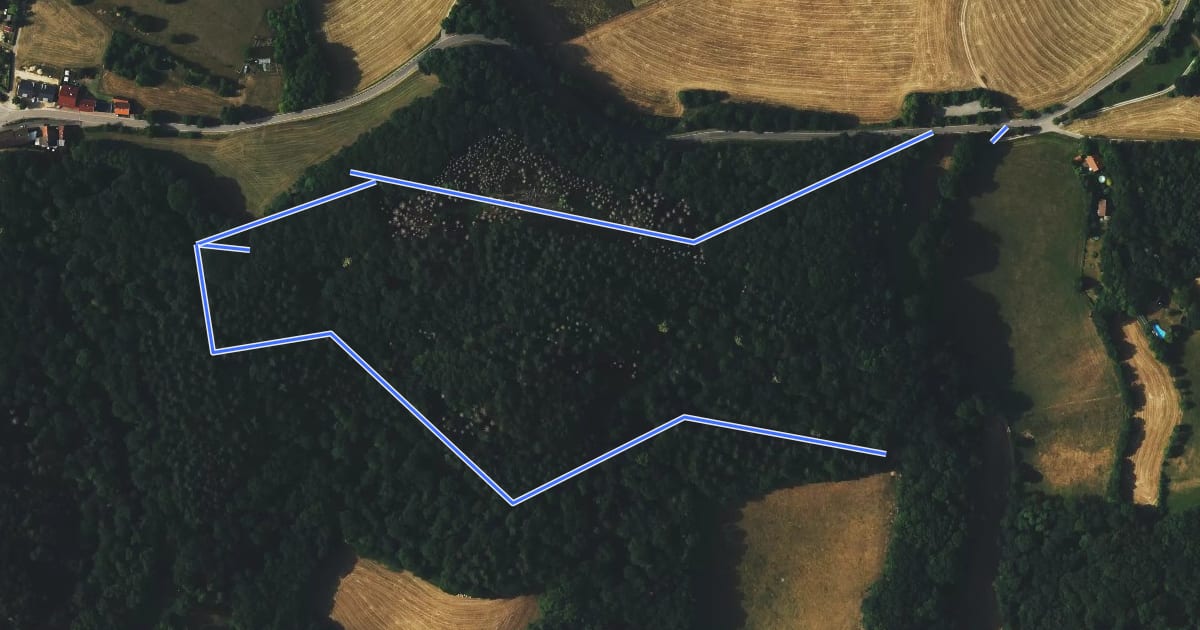 Маршрут Rundwanderweg Am Schütze-Kreuz 4: Steinkopfweg на спутниковом снимке