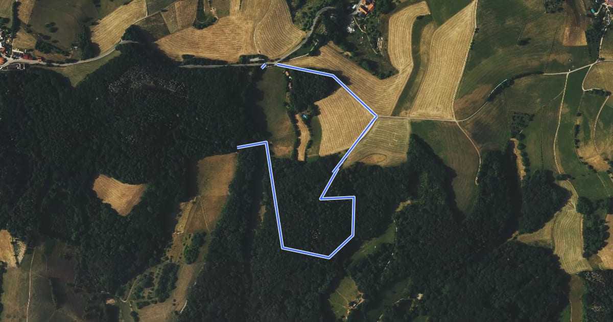 Маршрут Rundwanderweg Am Schütze-Kreuz 6: Reichelsbergweg на спутниковом снимке
