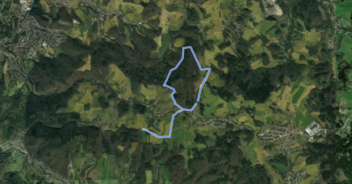 Маршрут Rundwanderweg Am Schütze-Kreuz 7: Kisselbuschweg на спутниковом снимке