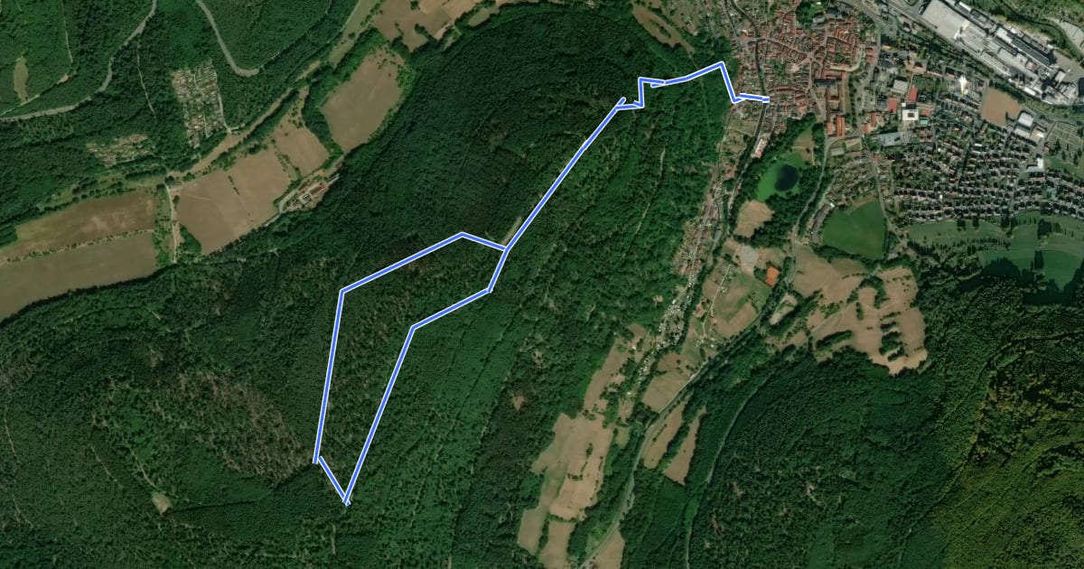 Маршрут Rundwanderweg Amorbach 6 на спутниковом снимке
