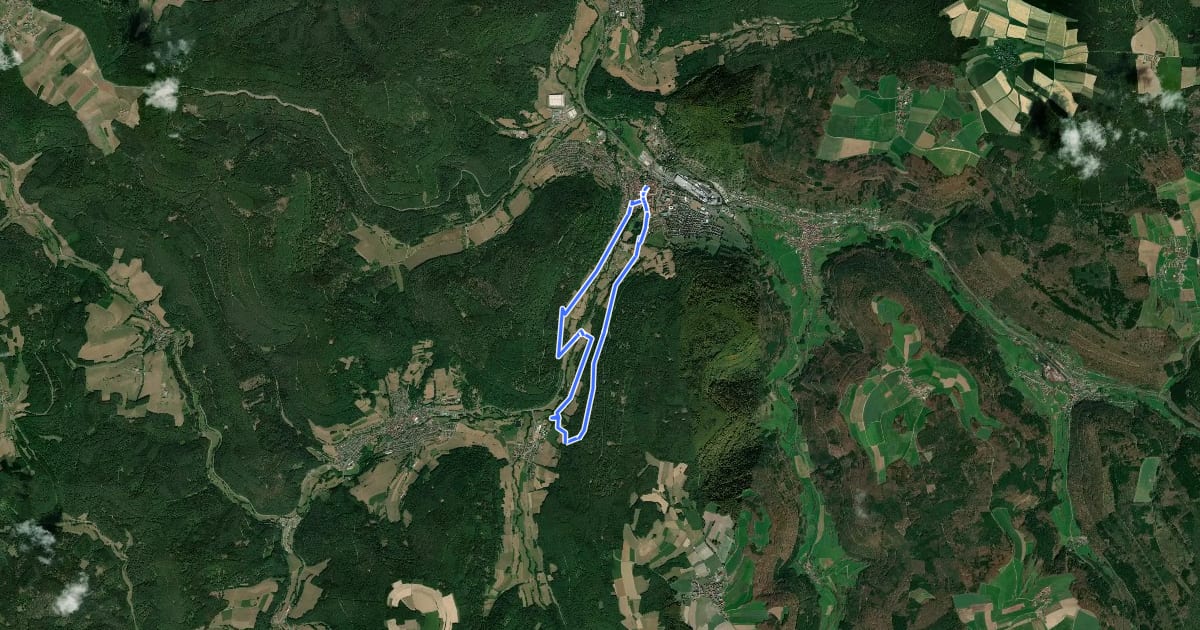 Маршрут Rundwanderweg Amorbach 7 на спутниковом снимке