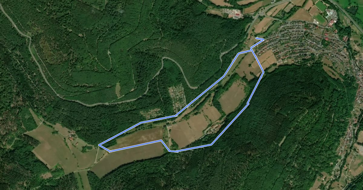 Маршрут Rundwanderweg Amorbach Amorsbrunn 3: Otterbach-Weg на спутниковом снимке