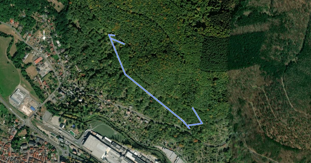 Маршрут Rundwanderweg Amorbach An der Gotthardsruine 3: Quellen-Weg на спутниковом снимке