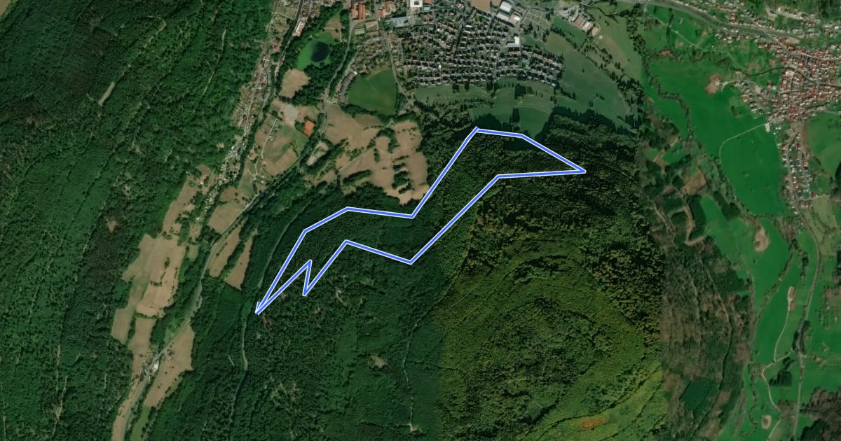 Маршрут Rundwanderweg Amorbach Beuchner Berg 1: Aussichtsweg на спутниковом снимке