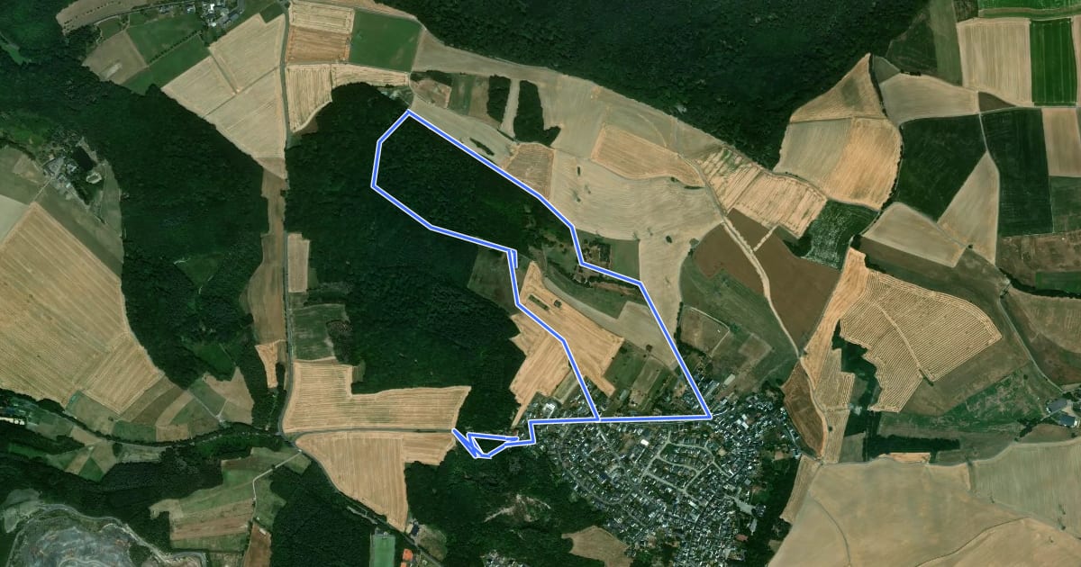 Маршрут Rundwanderweg Andernach-Eich Variante grün на спутниковом снимке