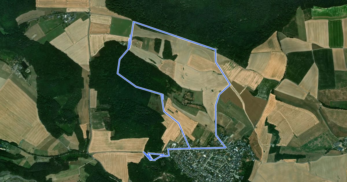 Маршрут Rundwanderweg Andernach-Eich Variante orange на спутниковом снимке