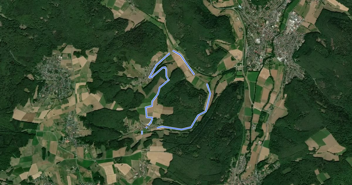 Маршрут Rundwanderweg Annelsbach 2 : Rund um den Riedel-Berg на спутниковом снимке
