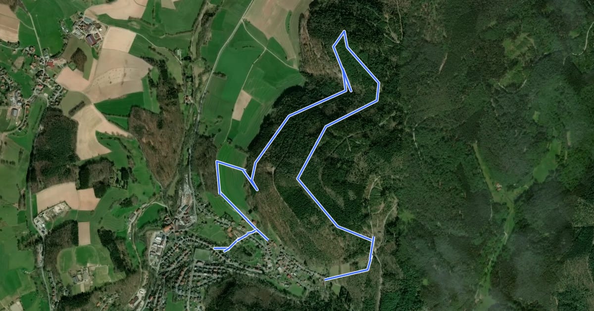 Маршрут Rundwanderweg Aschbach 1: Schlehenbuckel-Weg на спутниковом снимке
