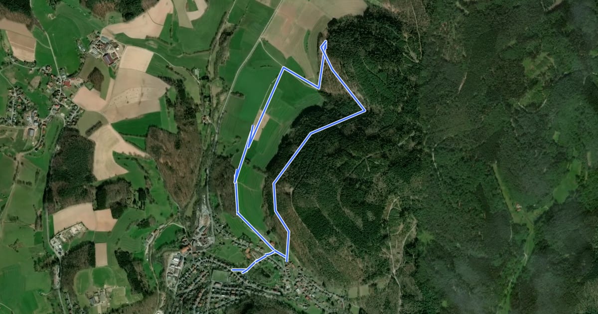 Маршрут Rundwanderweg Aschbach 2: Mäusbrunnen-Weg на спутниковом снимке