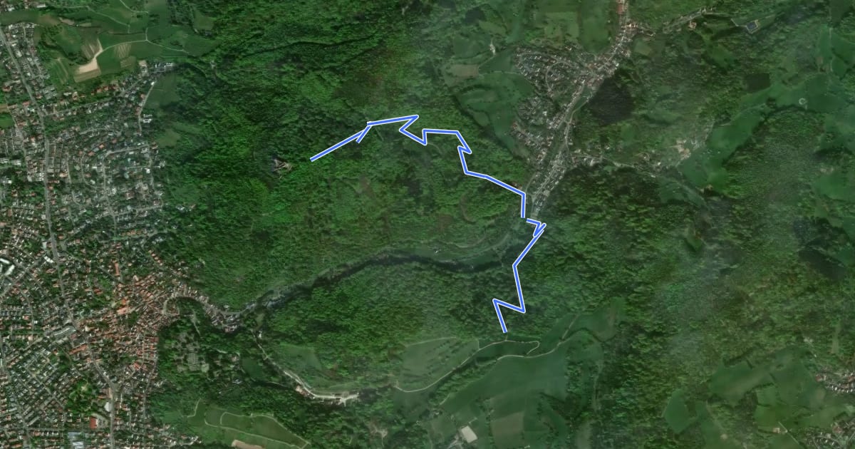 Маршрут Rundwanderweg Auerbach 1: Auerbacher-Schloss-Weg на спутниковом снимке