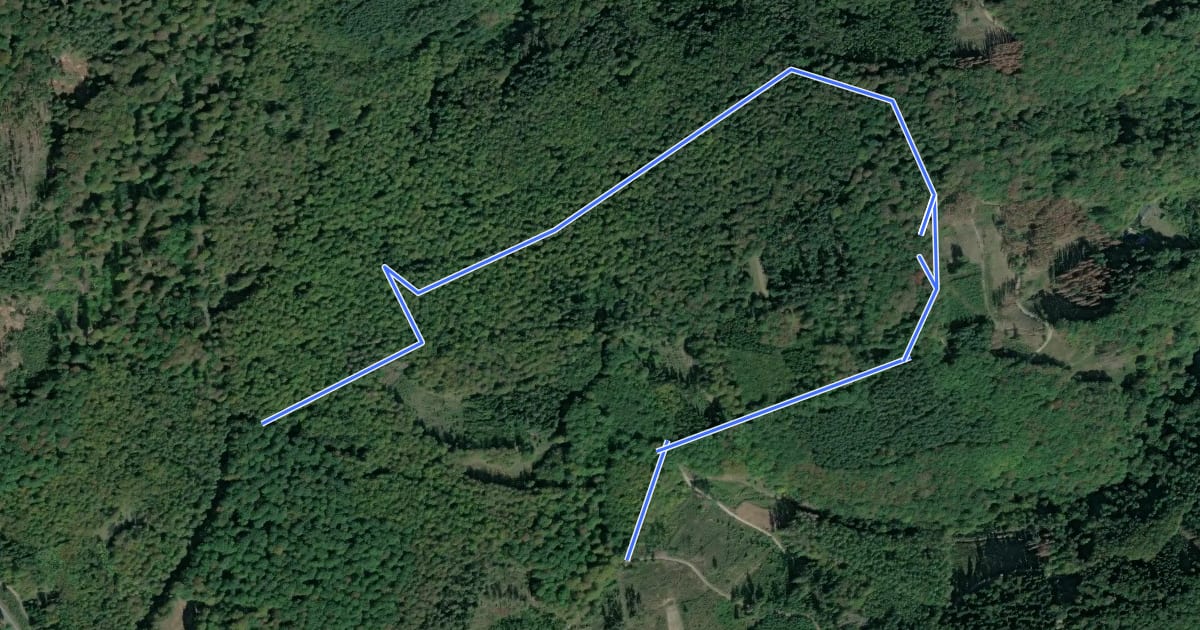 Маршрут Rundwanderweg Augustahöhe на спутниковом снимке