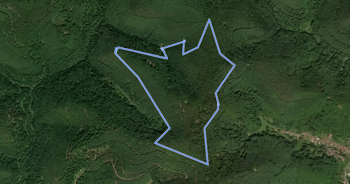 Маршрут Rundwanderweg Böchinger Hütte 1 на спутниковом снимке