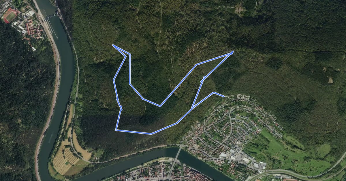 Маршрут Rundwanderweg Büdel-Ebert-Heim 4: Felsenberg-Weg на спутниковом снимке